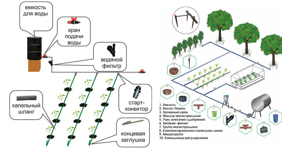 Схема подключения для растений и деревьев