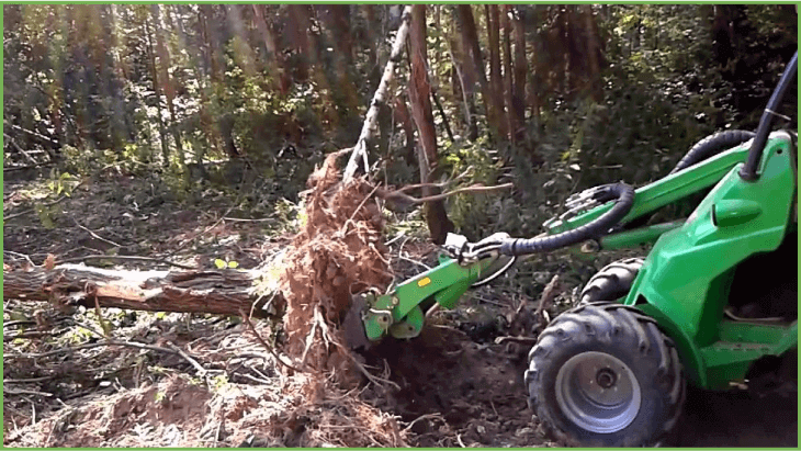 расчистка земельного участка от древесно кустарниковой растительности