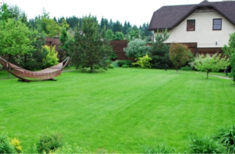 Посев газонной травы: от подготовки почвы до ухаживания за зеленым ковром