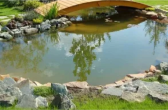 Шаг за шагом: Как создать пруд на участке и оживить свой сад
