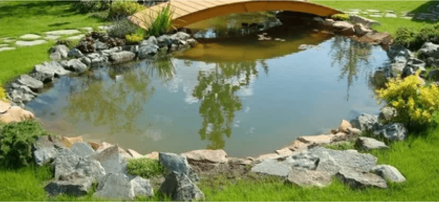 Шаг за шагом: Как создать пруд на участке и оживить свой сад