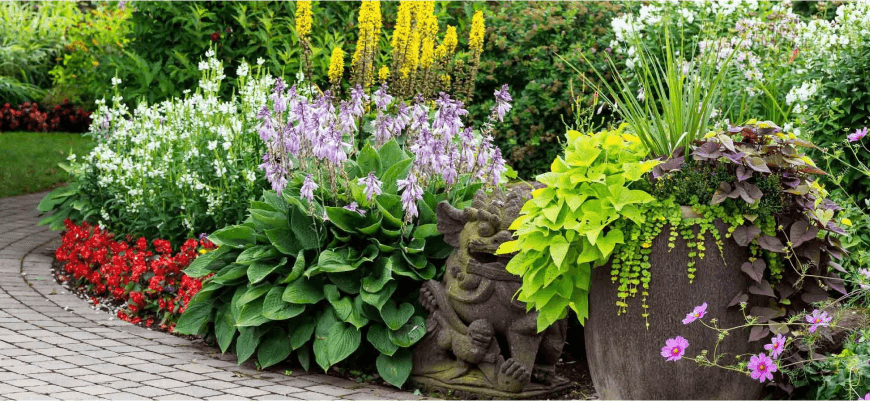 Создание прекрасного цветочного сада с многолетними цветами на вашем участке